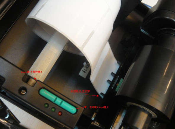 1615369792.png 圖片2.png